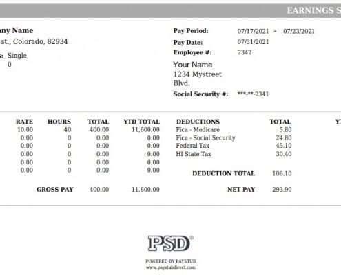 Detailed Paystub Style