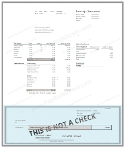 How to Make your Own Paycheck Stubs